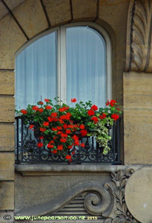 Window Geraniums, Paris