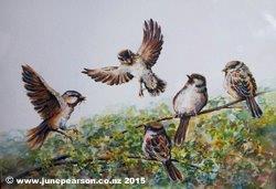 Watercolour - Sparrows