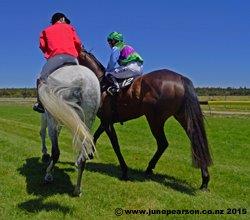 1g - Kumara Races NZ - Sunshine