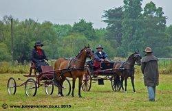 1i - Little River Show NZ - Final Judging