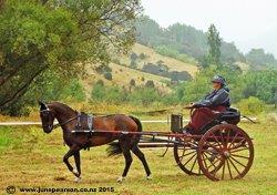 2c - Little River Show - Marked in the mist