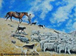 2h - Acrylic, Mustering Merinos NZ