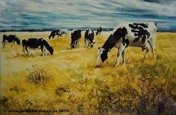 2h - watercolour, Friesians, summer