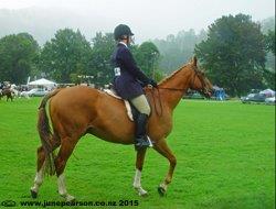 3a - Little River Show NZ - Misty rain