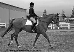 3d - ChCh NZ A&P Show - keeping time