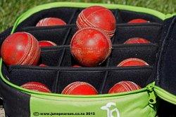 3d -Halswell cricket best picks