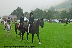 3e - Little River Show NZ - Composure with rain