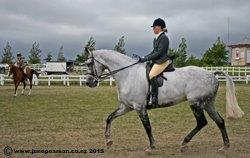 3f - ChCh A&P Show - Concern