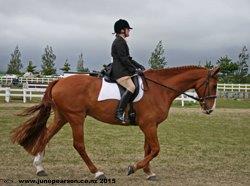 3g - ChCh A&P Show -distracted