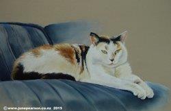 3g -  Chalk Pastel  - No 1 Cat