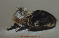 3i -  Chalk  Pastel, cat 2 Tabby