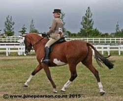 4c - ChCh A&P Show NZ - Getting on