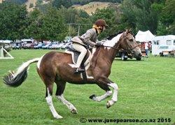 4h - Little River A&P Show NZ - Clear