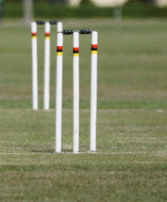 9a - Halswell Oval - loney wickets