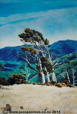 1b  - Acrylic - Totara Trees, Mt Herbert ChCh NZ