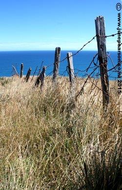 2g -  Magnet Bay, Banks Peninsula NZ