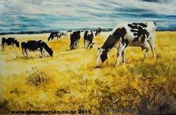 2i - Watercolour - Friesians in Nor'Wester, Prebbleton, NZ