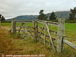 5e - West Coast Road, NZ