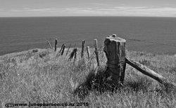 5g -  Magnet Bay, Banks Peninsula, NZ