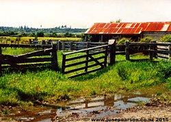 6b- farm buildings Arahura, West Coast, NZ